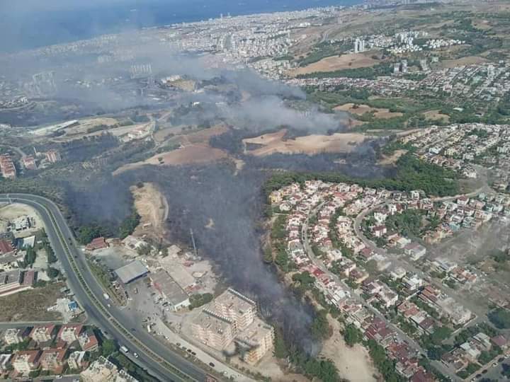 SehriyarTurizm's tweet photo. Allah'ın sessiz canlılarına bile güçleri yetecek kadar hain insanlardan ve zulümlerinden bizleri sen kurtar, selamete erdir Ya Rabbi... 😞

Hatay'da ki tüm kardeşlerimize geçmiş olsun.

Dualarımız sizinle...

#HatayYanıyor #Yangın #İskenderun https://t.co/5b9cUDEwSz