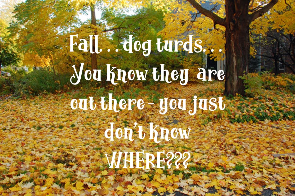 theDSGal's tweet photo. My not-so-favorite thing about Fall!! π»πππππ©πΆ LOL
#ewww #LOL #Fall #falladventure #fallcleanup #dog #dogpoop #Fallfoliage #Lisashomesweethome #beagoodneighbor #virtualassistant #LisaAnnadmin #LisaAnnadmin #socialmediamanager #digitalstrategygal #theDSGal #DSGal https://t.co/CYPOrxEjeN