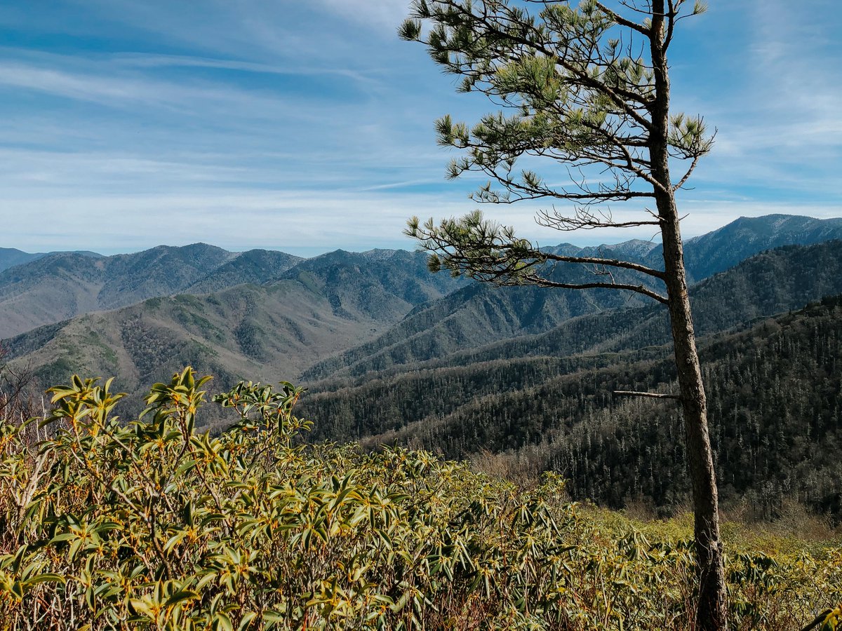 JohnsonUniv's tweet photo. We love that our campus is just a short drive away from the Great Smoky Mountains. It's the perfect escape for the weekend, especially when the leaves start to change colors! What are your favorite hikes in the Smokies? https://t.co/MJwNSCdhbg