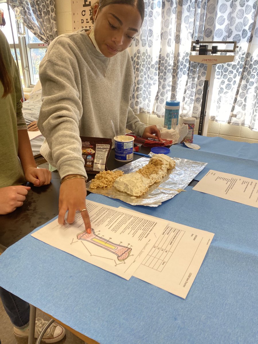 JacksonRN723's tweet photo. Structures of a long bone: who knew they could taste so good? Health Science 3 knows!!! https://t.co/cXhHdQoCac