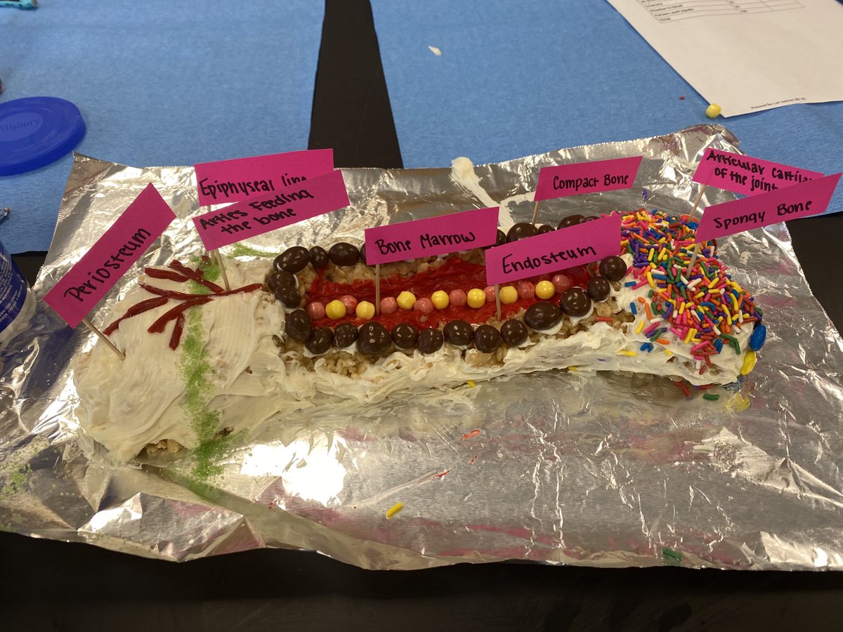 JacksonRN723's tweet photo. Structures of a long bone: who knew they could taste so good? Health Science 3 knows!!! https://t.co/cXhHdQoCac