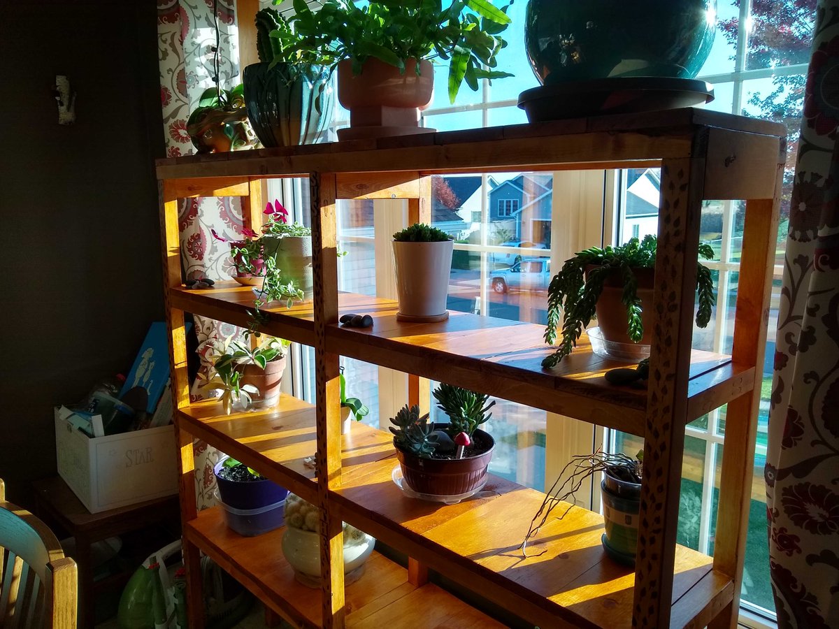 atmaz's tweet photo. made this thing. used computer to make thing. hold plant. https://t.co/N5ZYoTlZ6X