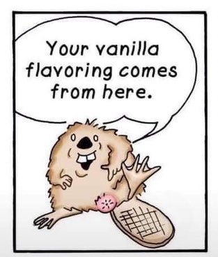 DeWaaslandwolf's tweet photo. . #castoreum is blijkbaar lekker in vanille-ijs 🍨 ... https://t.co/3b55vpmBeQ