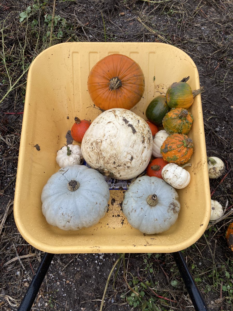 Stephi Walker tweet media