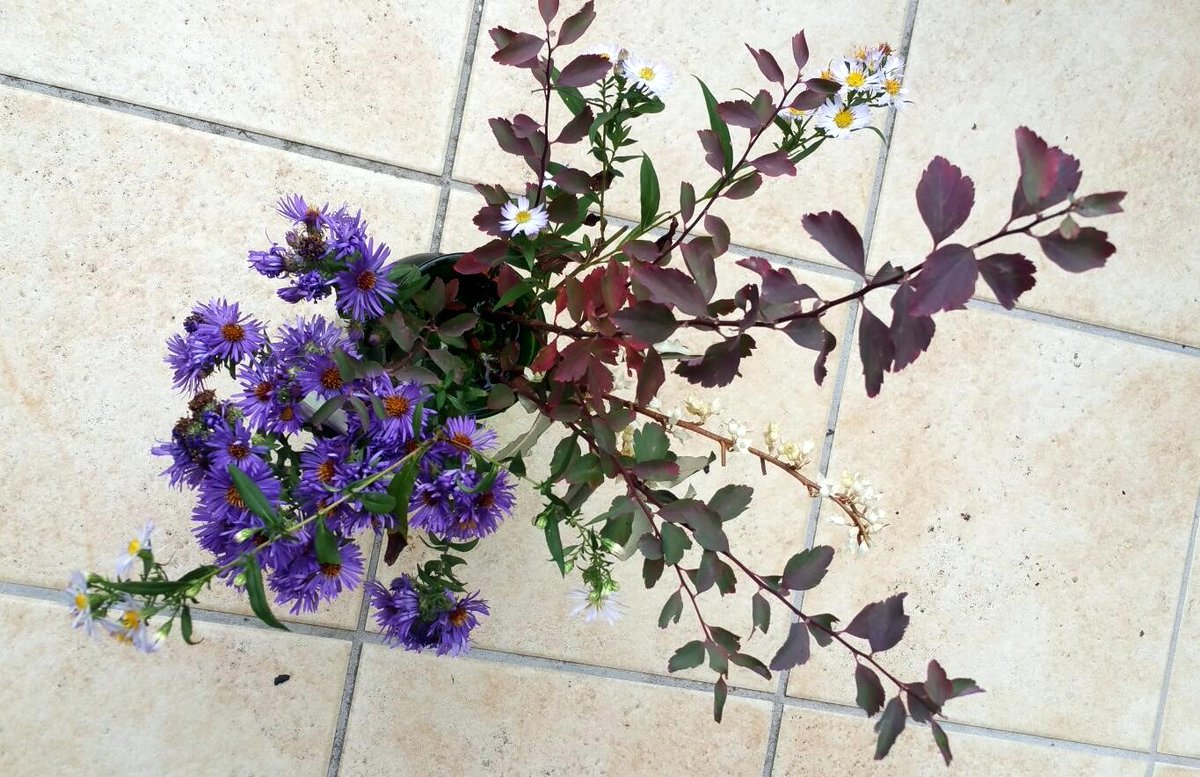 isisderomefort's tweet photo. #inspiration week-end #compositionflorale #ikebana #inspiration #bienetre #fleurs #automne2020 #artfloral #creativite https://t.co/zI8415y9N4