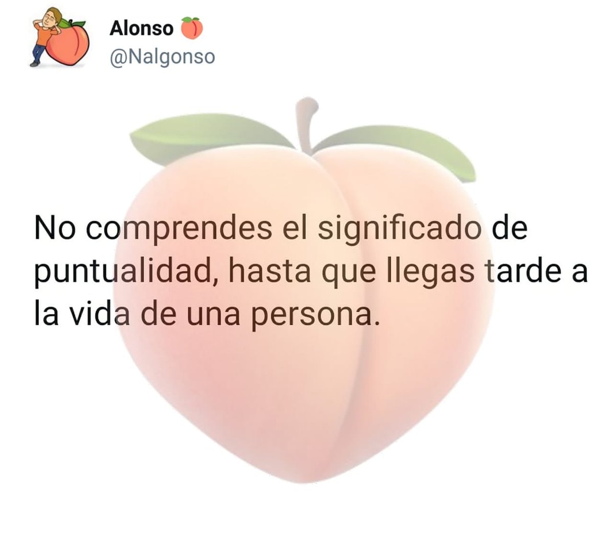 Alonso 🍑 tweet media