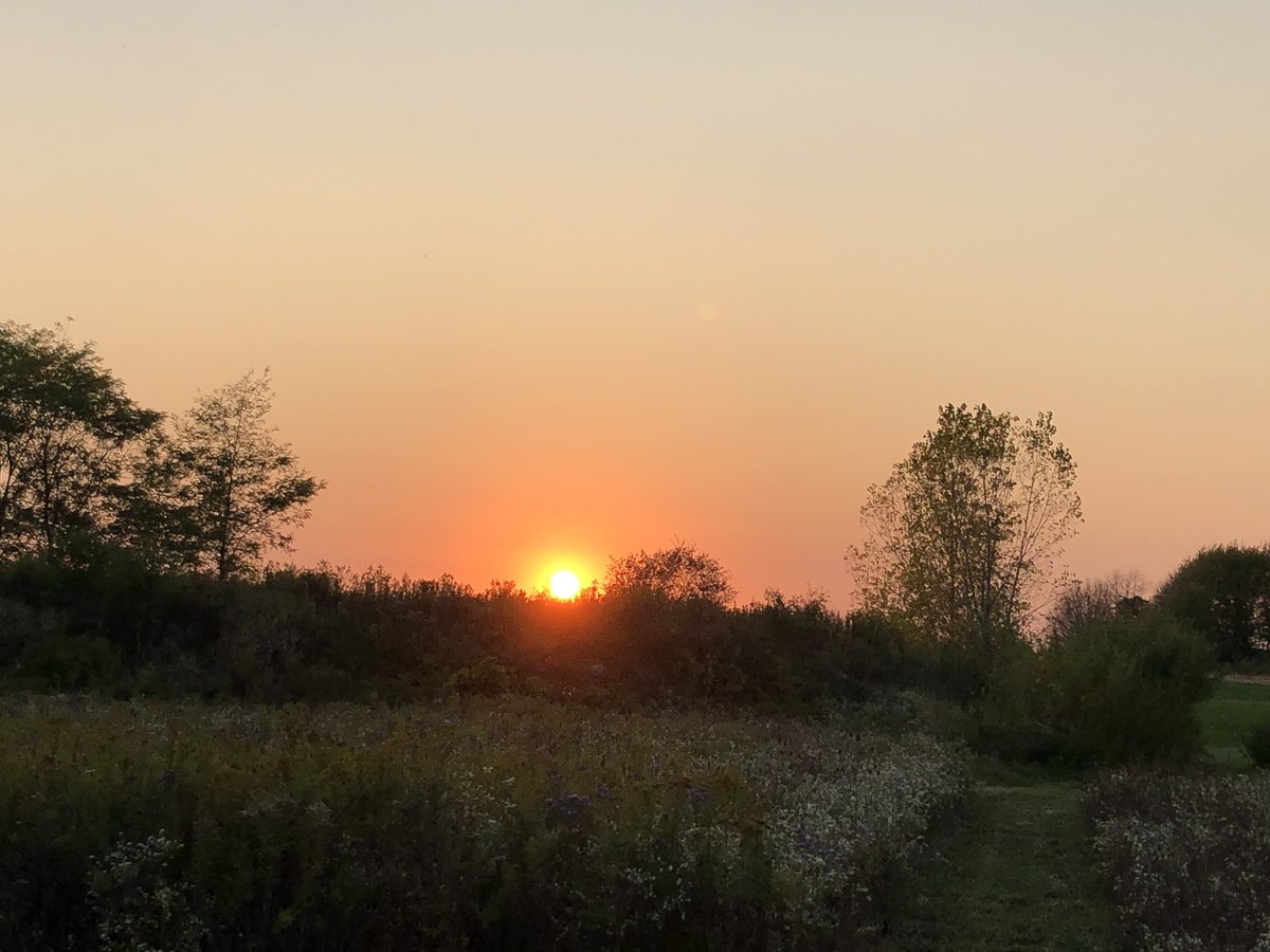 Heather Cole tweet media