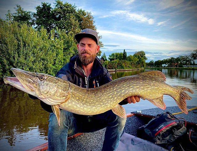 Boom! Big meterpike! 🎣🚣‍♀️
Follow @ifishinglover  for more of the best fishing content! 🔥🎣
 #outdoors #hunting #fishing #pikefish
#pike #pikefishing #northernpike 
#muskyfishing #snoek #snoekbaars #meterpike