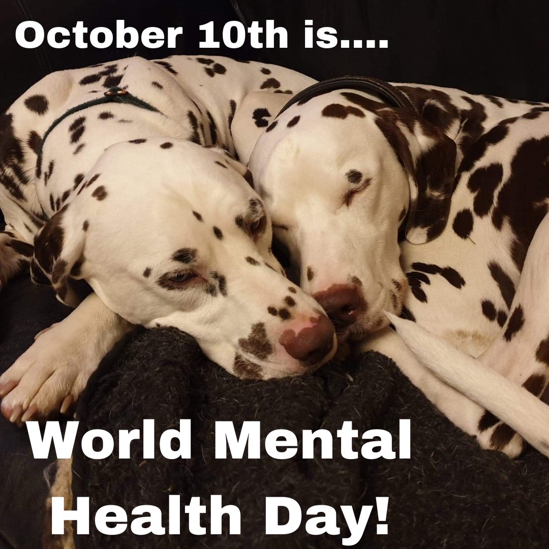livzoosoc's tweet photo. We at ZooSoc want to make sure all our members feel listened to and like they have someone they can go to, so we have gathered some resources for you, in awareness of World Mental Health Day.
All the best, Tafwauli 😊 https://t.co/LncAJGCeUX