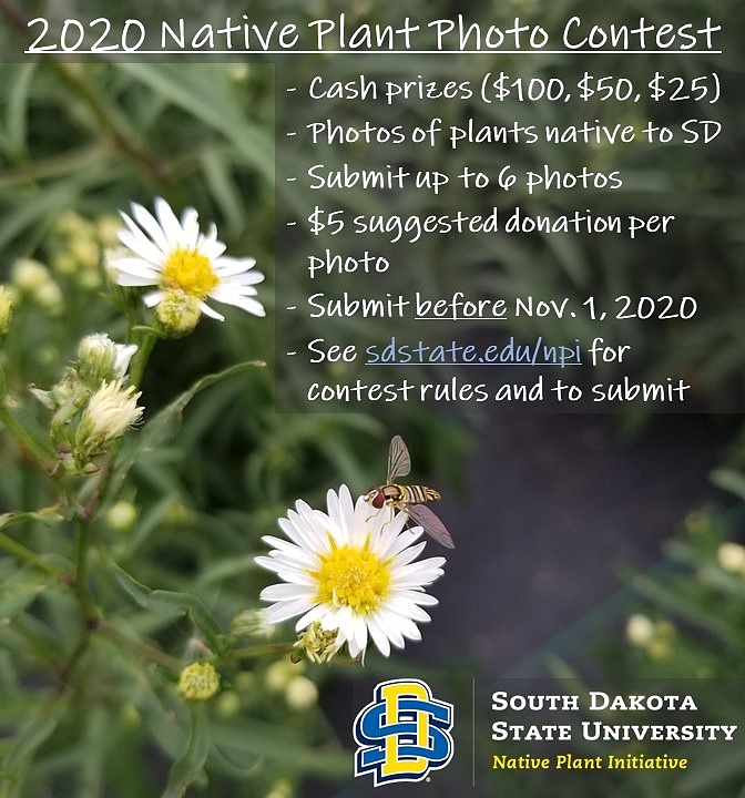 SDStateNPI tweet media