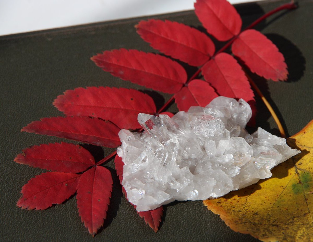 DepositStock's tweet photo. Drusa de cristais de quartzo para venda. Origem: Rússia, Subpolar Ural. Druse of quartz crystals. Russia. Subpolar Ural. Друза кристаллов кварца. Горный хрусталь. Приполярный Урал. For sale. #Druse #quartz #crystal #mineral #mineralcollection #mineraldepositstock #mineral #кварц https://t.co/2ZmutEmDJ2