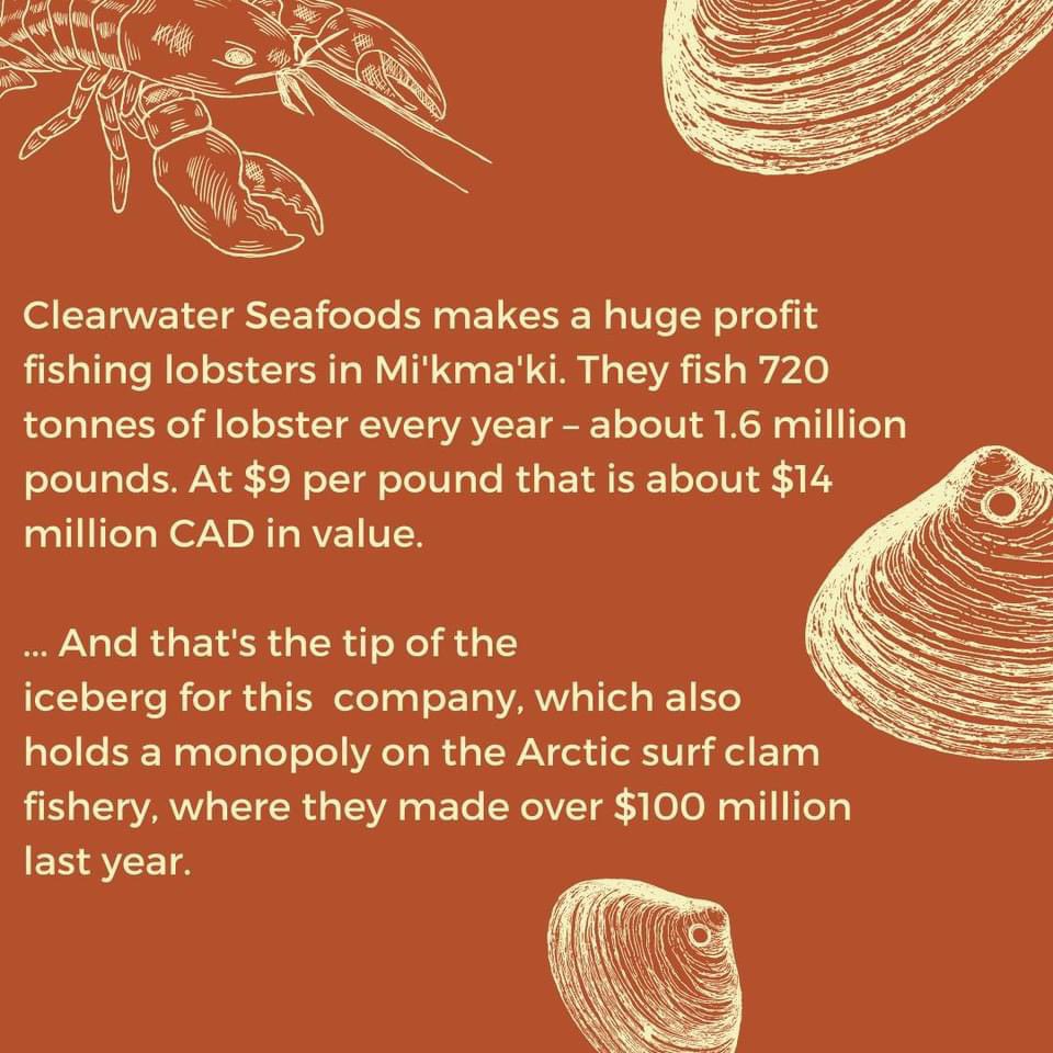  #Clearwater plays by their own rules, & still flouts the regulations it has agreed to follow, w little consequence. They commit “gross violations” impacting 1000s of  #lobsters every trip, along with endangered fish & whales... yet DFO prefers to harass MI’kmaq treaty fishers??