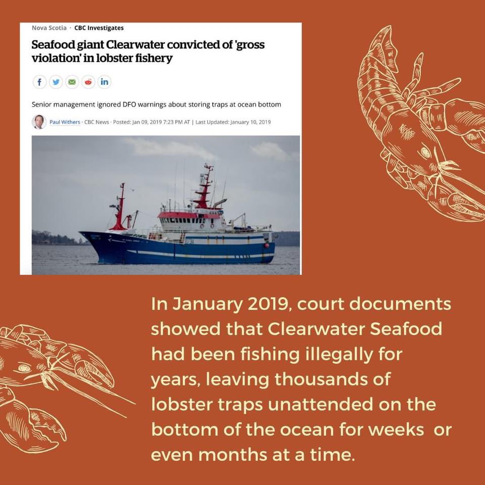  #Clearwater plays by their own rules, & still flouts the regulations it has agreed to follow, w little consequence. They commit “gross violations” impacting 1000s of  #lobsters every trip, along with endangered fish & whales... yet DFO prefers to harass MI’kmaq treaty fishers??