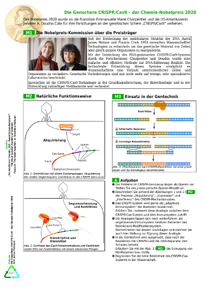 JochenPetzinger's tweet photo. Produktiver Samstag - nachdem CRISPR endlich nobelpreiswürdig wurde.
Jetzt muss ich nur noch im 12er Stoff vorankommen. 😏
#twlz #BioEdu #CRISPRCas9 #nobelpreis https://t.co/B4GUxJeRjK