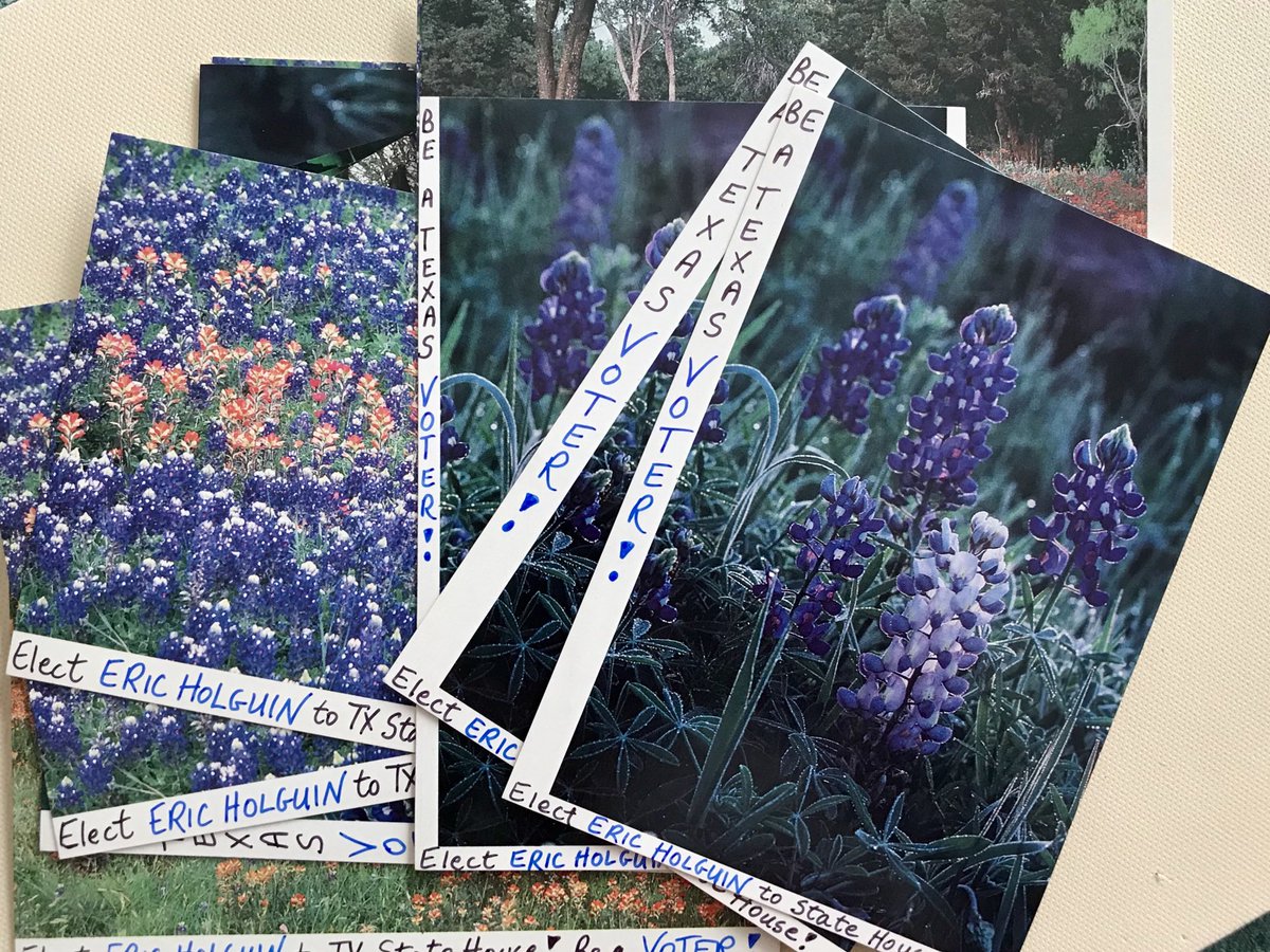 nicolebrca's tweet photo. Bluebonnets going out to remind fellow Texans to vote for #EricHolguin #EricForTexas #PostcardsToVoters #TurnTexasBlue https://t.co/3frR2odoJF