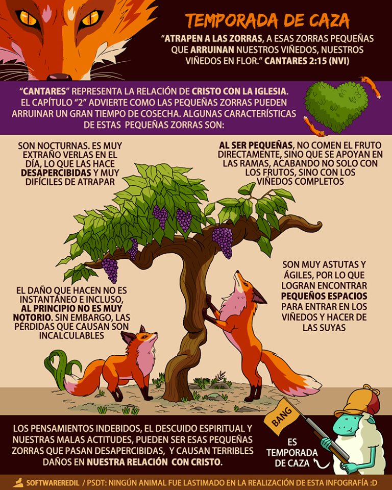 YesidAbdo's tweet photo. @Transf_Bolivia Al ser pequeñas no comen solo del fruto sino que se apoyan en los troncos dañando la cosecha completa. https://t.co/9a3ieJ7xO4