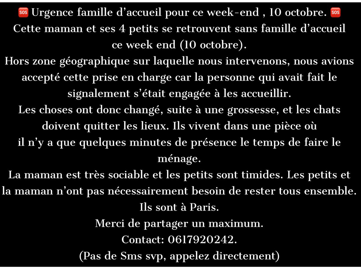 AdopteChienChat's tweet photo. 🚨🆘 L’association @AnimEgaux recherche une famille d’accueil à Paris / Île de France pour ce week-end, 10 octobre. Si vous pouvez accueillir chez vous, un ou plusieurs chats, merci de contacter l’association 🆘🚨 #chat #chats #familledaccueil #soschats https://t.co/QD0QddVsJM