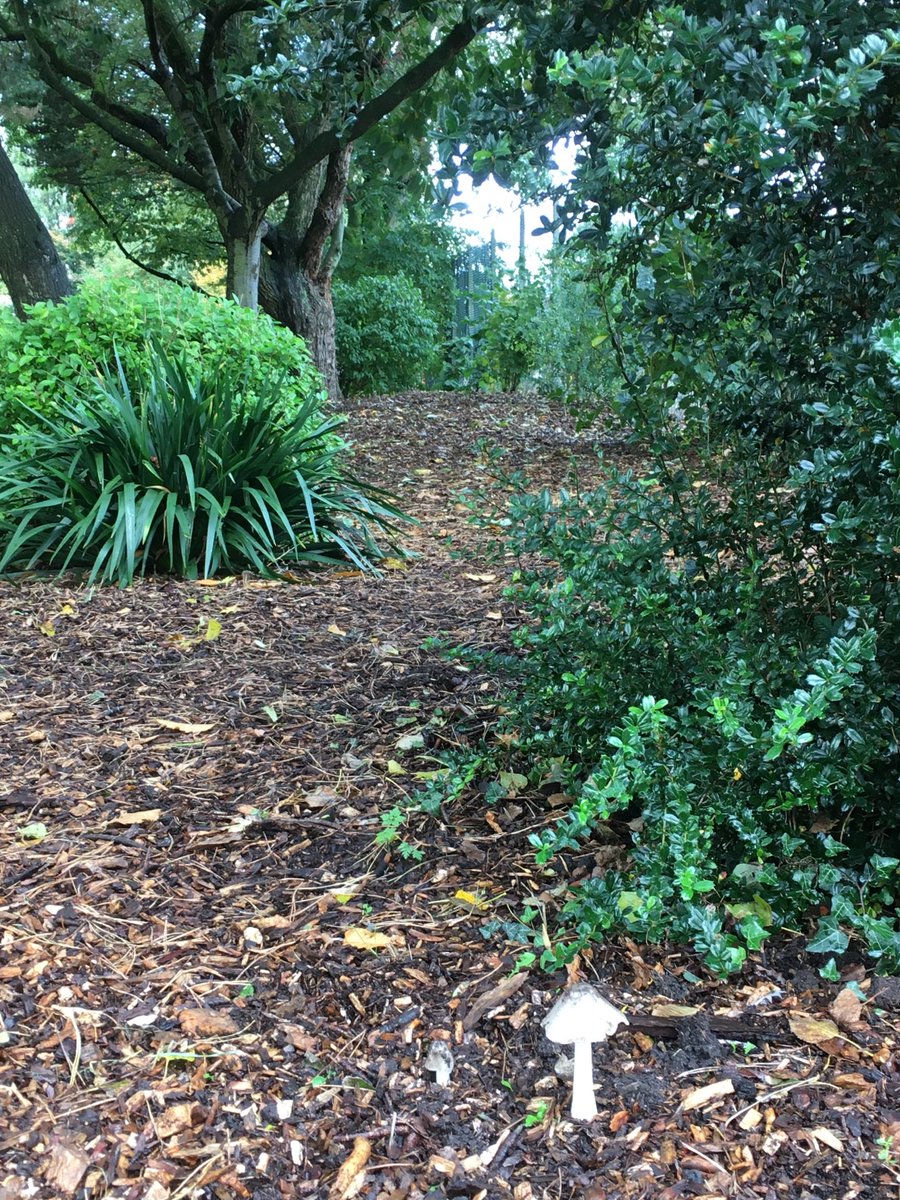 Friends of Pickering Lodge Park tweet media