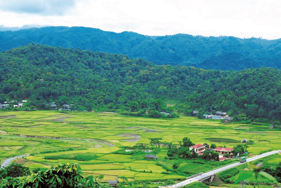 TheLandAlliance's tweet photo. #ResilientLandscapes is a new venture created by @CIFOR-ICRAF to transform land use &amp; agricultural supply chains by serving as the nexus between science &amp; businesses, finance, govts &amp; civil society across forest &amp; #agroforestry landscapes.
Check it out! ➡️ https://t.co/Vx1DUqB8TP https://t.co/DMFFY0Tnu2