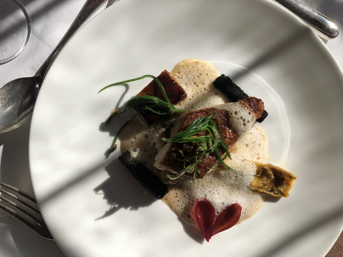 eatcookexplore_'s tweet photo. Amazing fungi foray lunch @Hambleton_Hall after a morning #foraging for mushrooms in the nearby woods. The restaurant here has held a #michelin star fir 28 years, the longest in the UK! #luxfood @RelaisChateaux @pobhotels https://t.co/vosQpLvyZZ
