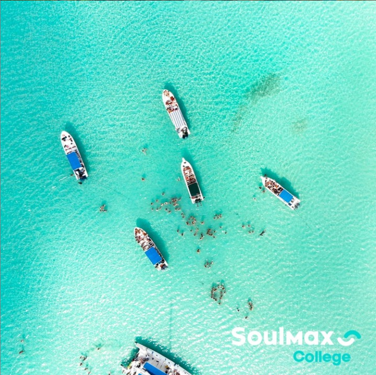 SoulmaxCollege's tweet photo. Simplemente Punta Cana😍 Viví la #ExperienciaSoulmax

#soulmax #puntacana #egresados https://t.co/4xKShTBjsG