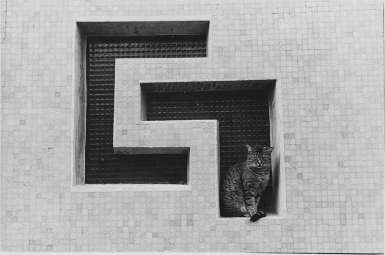 Jean Poittier's shot of a modernist cat in Grigny, a southern suburb of France, 1976. Some cats seem to be very much aware of their decorative effect. #Caturday Médiathèque de l'architecture et du patrimoine