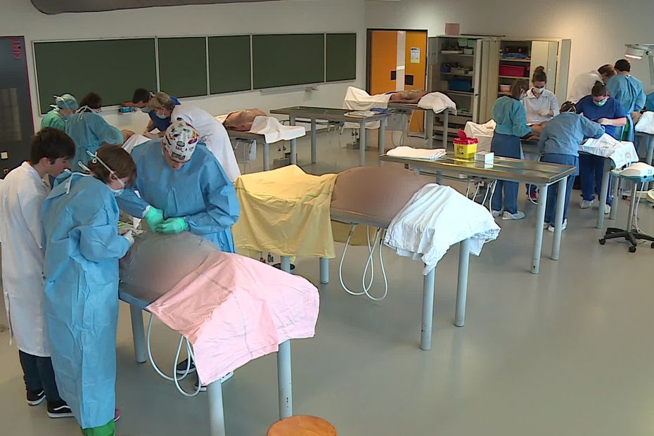 Nous parlons ici du plus grand centre anatomique de France. Ce dernier se trouve non pas au sous-sol (j'ai mal lu) mais au cinquième étage de l'établissement. Un centre anatomique est un lieu dans lequel les étudiants en médecine commencent à passer à la pratique en simulant