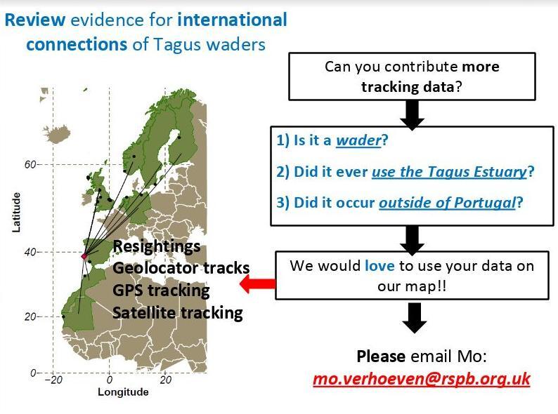 Josh Nightingale (@Luscinia_joshua) on Twitter photo 2020-10-10 15:31:54 Several presentations at #IWSGconf and #ISTC20 about #STOPTagusAirport this year.
If you have sightings/tracking data, you can help with a review of the evidence of the site's international importance
#ornithology #Waders #shorebirds #conservation Several presentations at #IWSGconf and #ISTC20 about #STOPTagusAirport this year.
If you have sightings/tracking data, you can help with a review of the evidence of the site's international importance
#ornithology #Waders #shorebirds #conservation