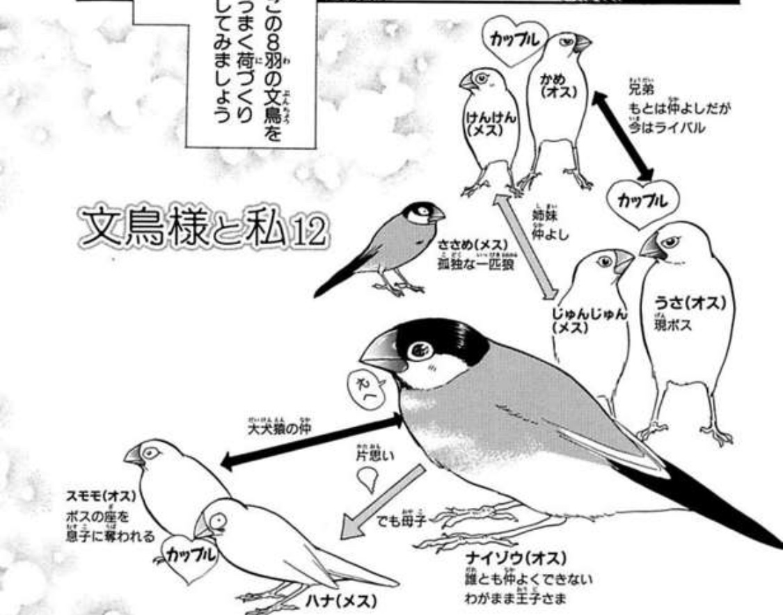 チャスカ 眠いね T Co Gicksntl39 Twitter チャスカ 眠いね T Co Gicksntl39 Twitter