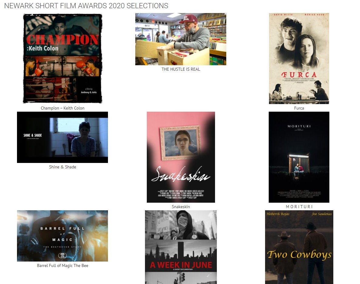 NewarkShortFilm's tweet photo. Screenings are live! Head over to our Facebook page or https://t.co/D3EREp2wUa to view. Check out these selections and more. https://t.co/XuyF66oghP