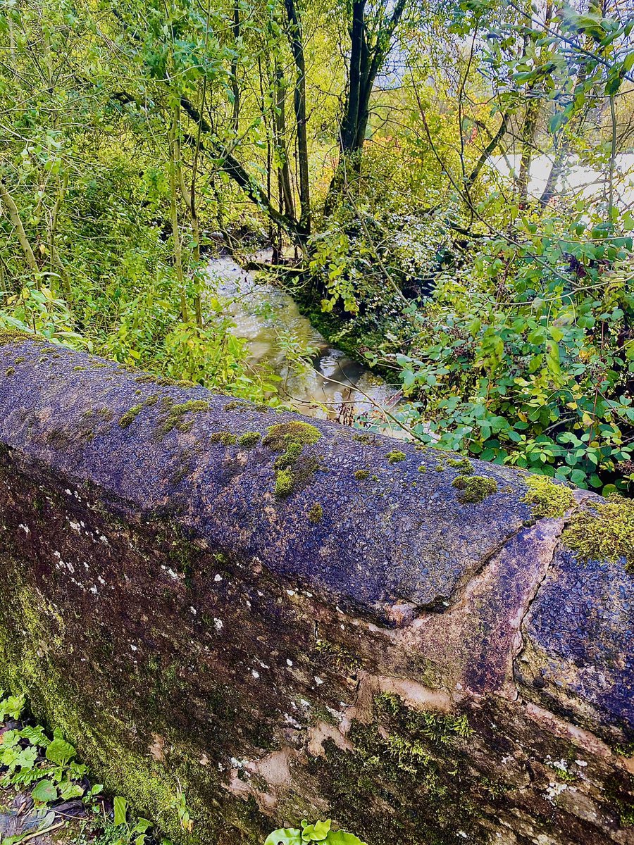 🍂 Lovely Autumnal walk around Reddish Vale Country Park with <a href="/GwynneCllr/">Allison Gwynne</a>. We are so lucky to have the Tame Valley on our doorstep 🌳