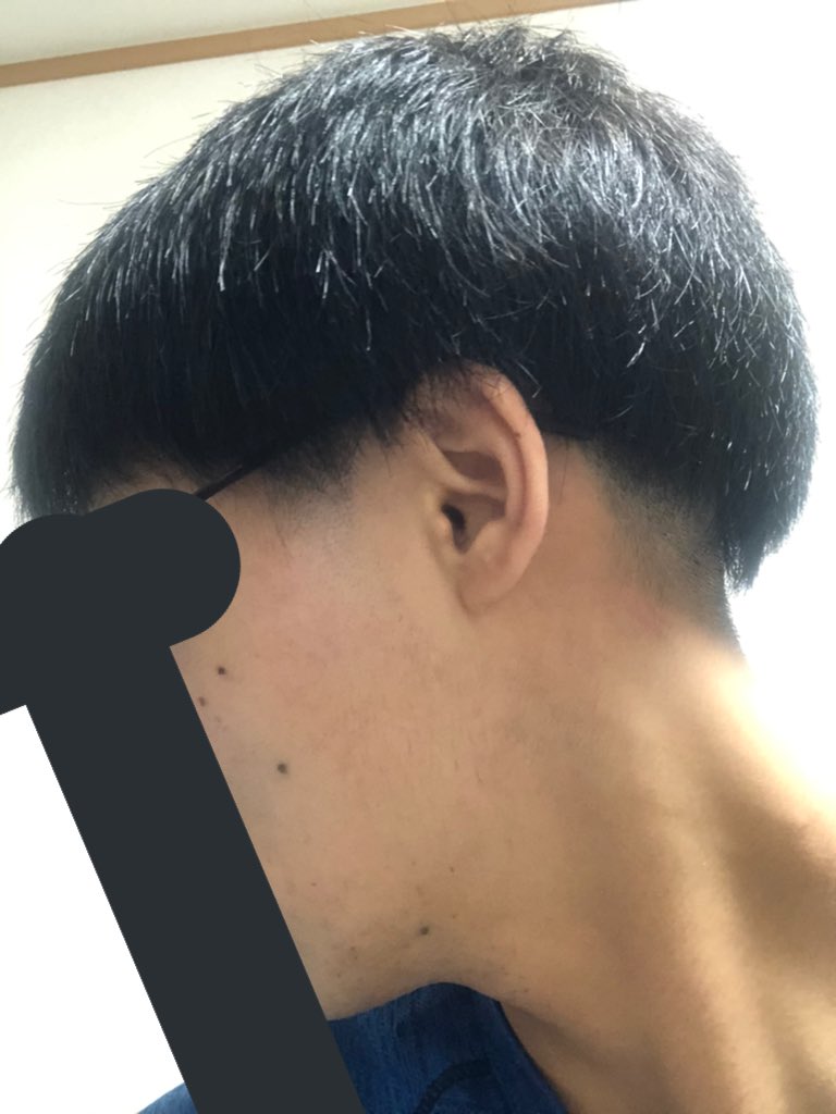 トムキャット 第13次ybc延期です バリカンで伐採したけど 頬骨が邪魔過ぎてもみあげがどうにも残ったから少し剃った トムキャット 第13次ybc延期です バリカンで伐採したけど 頬骨が邪魔過ぎてもみあげがどうにも残ったから少し剃った