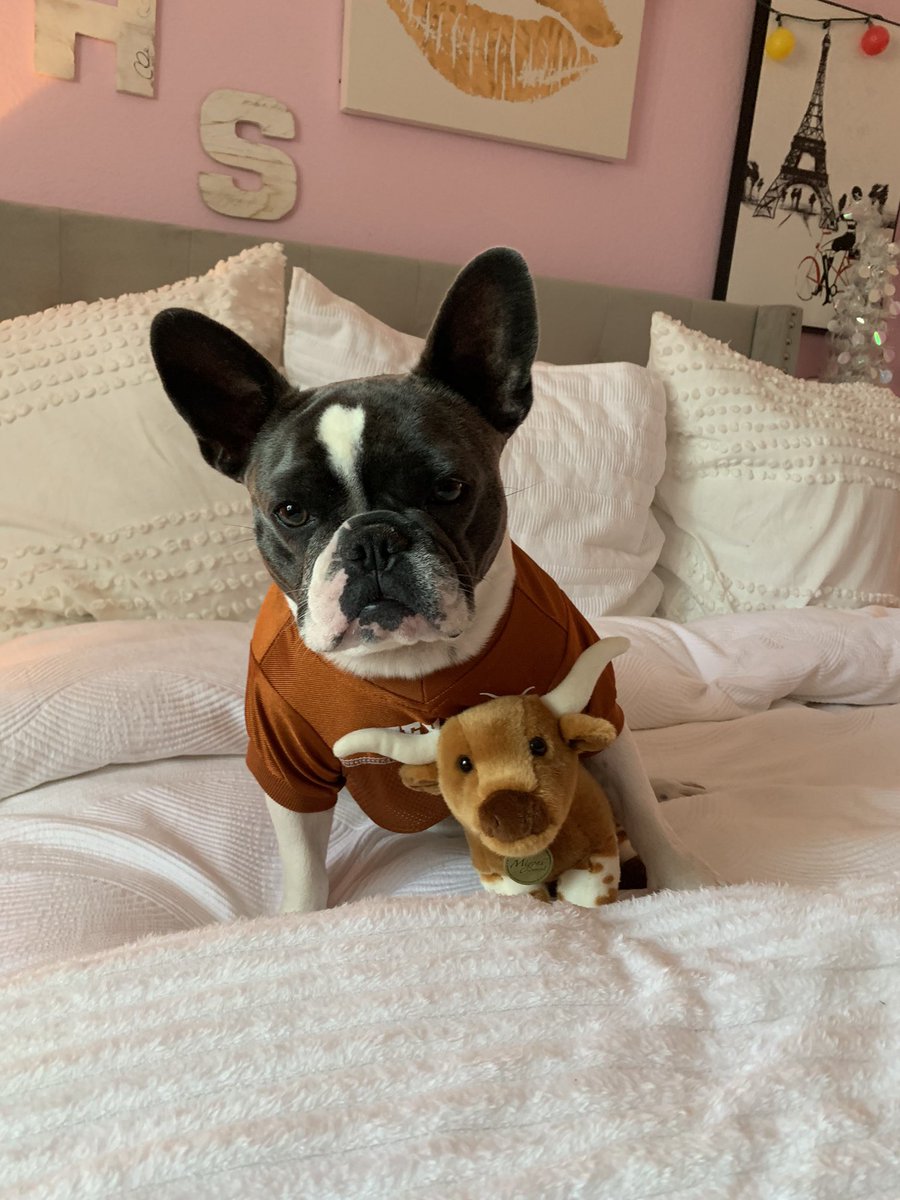 #HookEm #THISISTEXAS #RedRiverRivalry #Cottonbowl #TXvOU #TexasFight #Bevo #Statefairoftexas #Fletchers