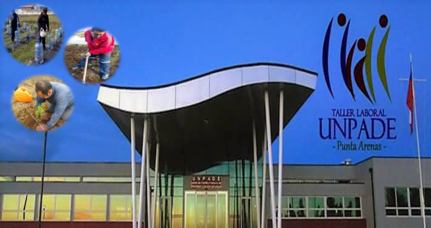 RotaryAustral's tweet image. Proyecto aprobado para valorar la Biodiversidad, incentivar el cultivo de plantas medicinales e instalar energías renovables en sus comunidades. pst.cr/58LQo