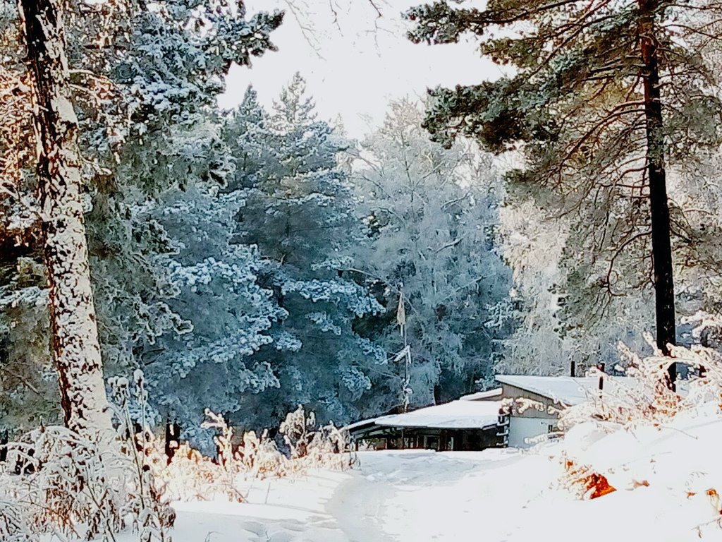 LaneStrannik's tweet image. Мороз и солнце☀️. Лес🌲🌲🌲 чудесный.
И никого вокруг!✌️⛄

#Work_InForest #лес #домВлесу #Сибирь #Siberia