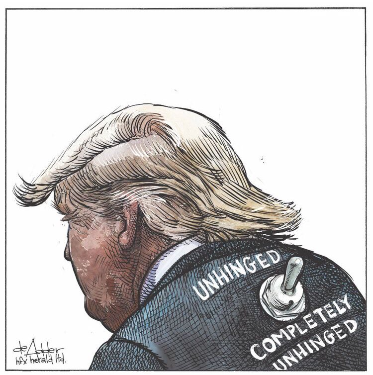 deAdder's tweet photo. Cartoon repost for @chronicleherald #TrumpCoupPlot #TrumpMeltdown #TrumpTaxReturns https://t.co/E7I0Oi3OhF