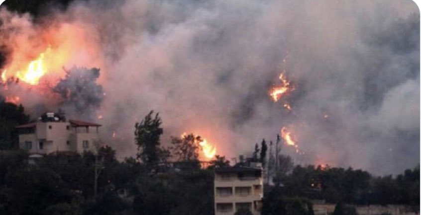 Doğasıyla, insanıyla harikulâde bir coğrafya;Hatay...
Bu eşsiz güzelliklere kıyanlar teröristtir, haindir, lânetlenmelidir...