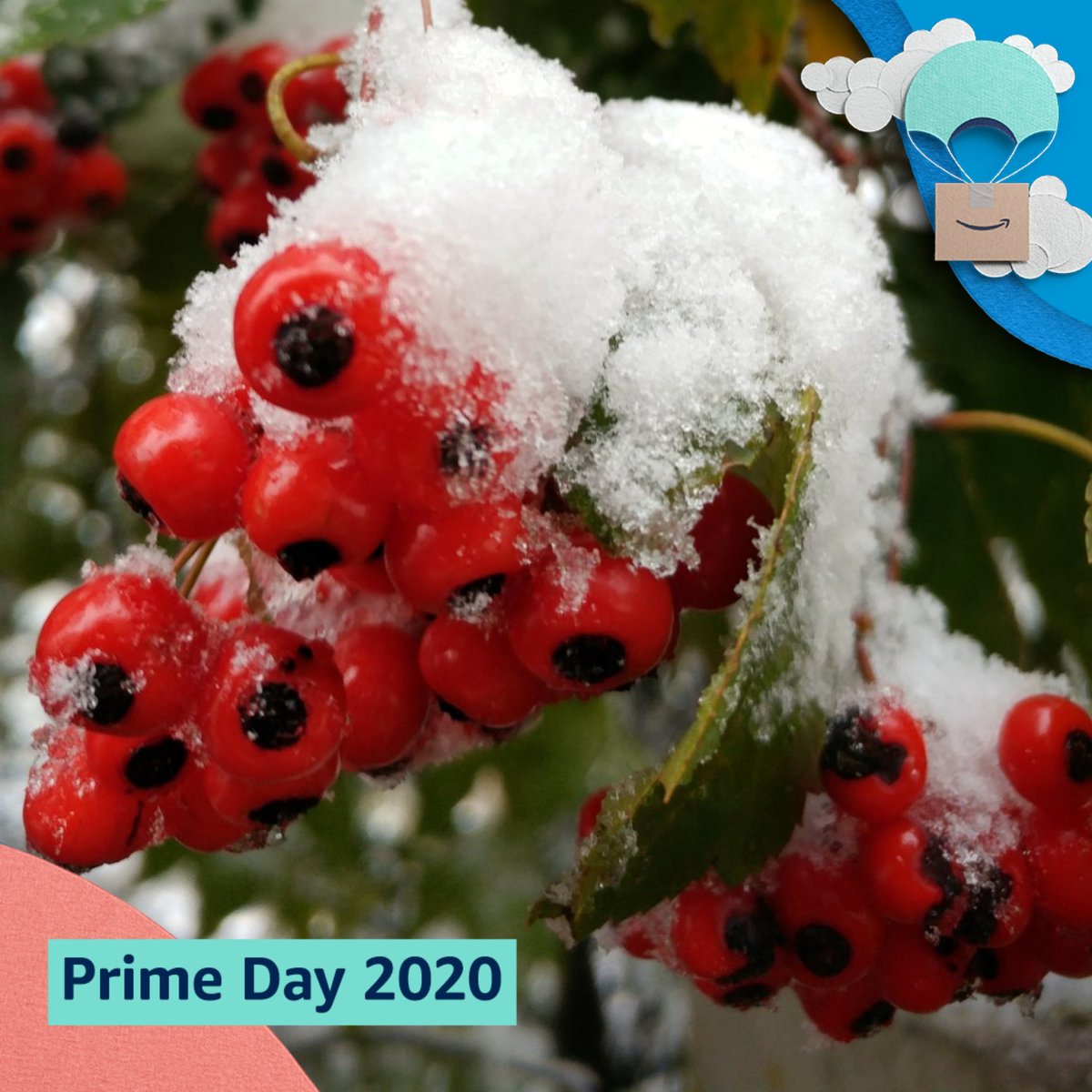 ZoomForum's tweet image. #PrimeDayPhotos @amazonphotos