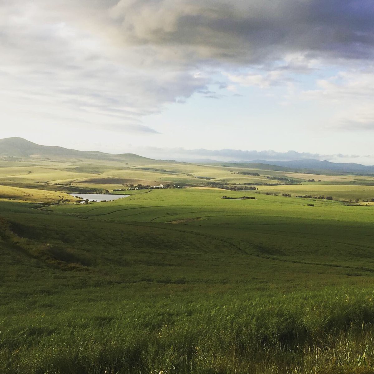 Simon_Ronne's tweet photo. My 2nd ride for the day after work. I survived the route. 😱🤣The scenery was 👌👌 #ridingonthefarm #riding #godsnature #exercisingisgoodforyourmentalhealth https://t.co/kk6APHxSWt