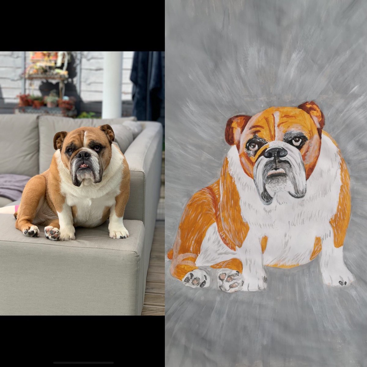 RSPCAHull's tweet photo. Another beauty here of Fanny ❤️👏❤️👏❤️ Her owner is super happy 😊 Loving your creativity @HullBarclays @https://www.justgiving.com/campaign/petsdrawnbadlyHullRSPCA https://t.co/ySNpjYF7m1