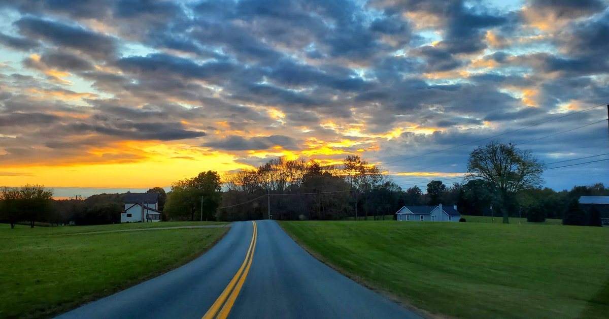 Sarah O'Fee tweet media