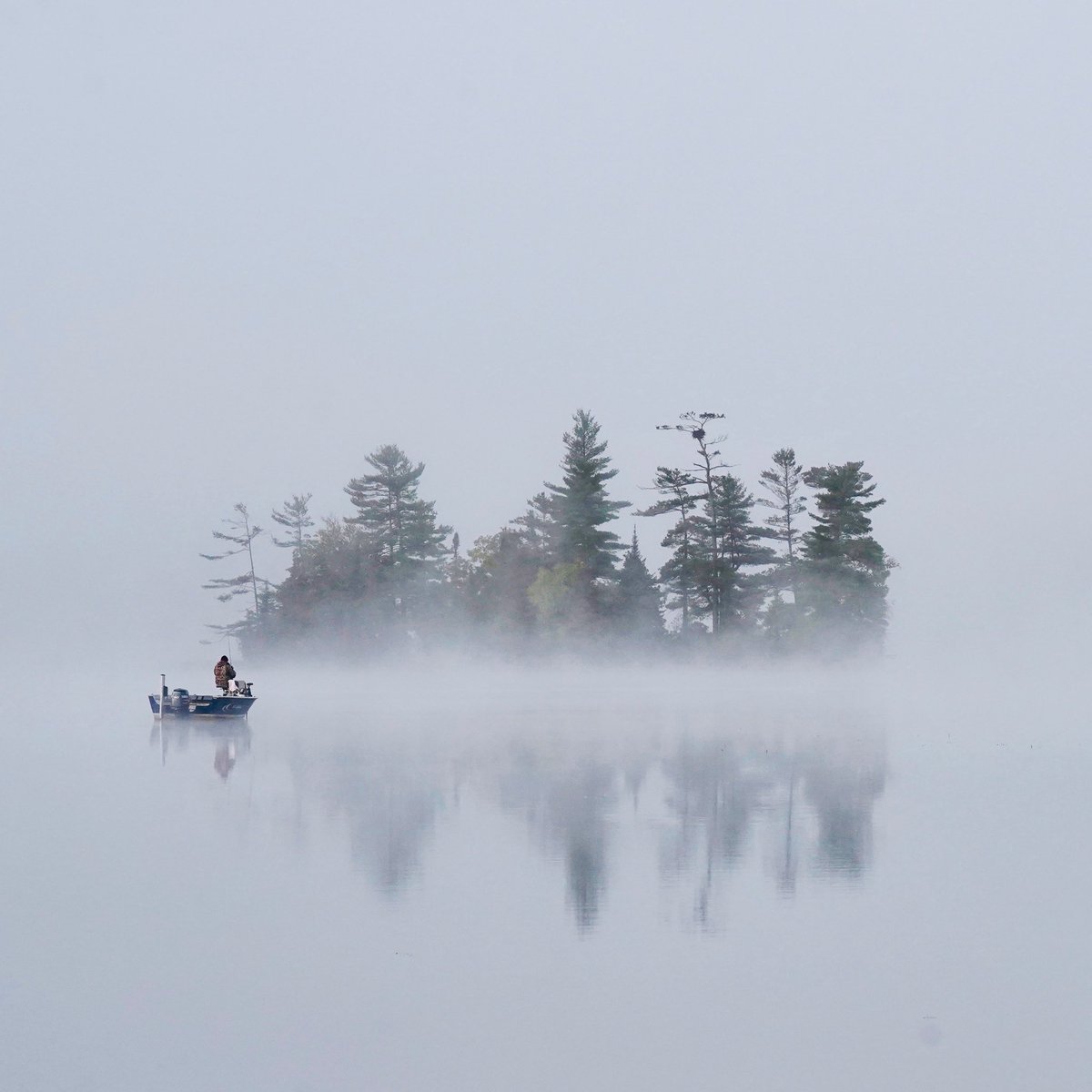 GladdingBill's tweet photo. A fisherman awaits his catch in the tranquility of a foggy morning on Big Bald Lake, Ontario. https://t.co/sFTbsogF2B