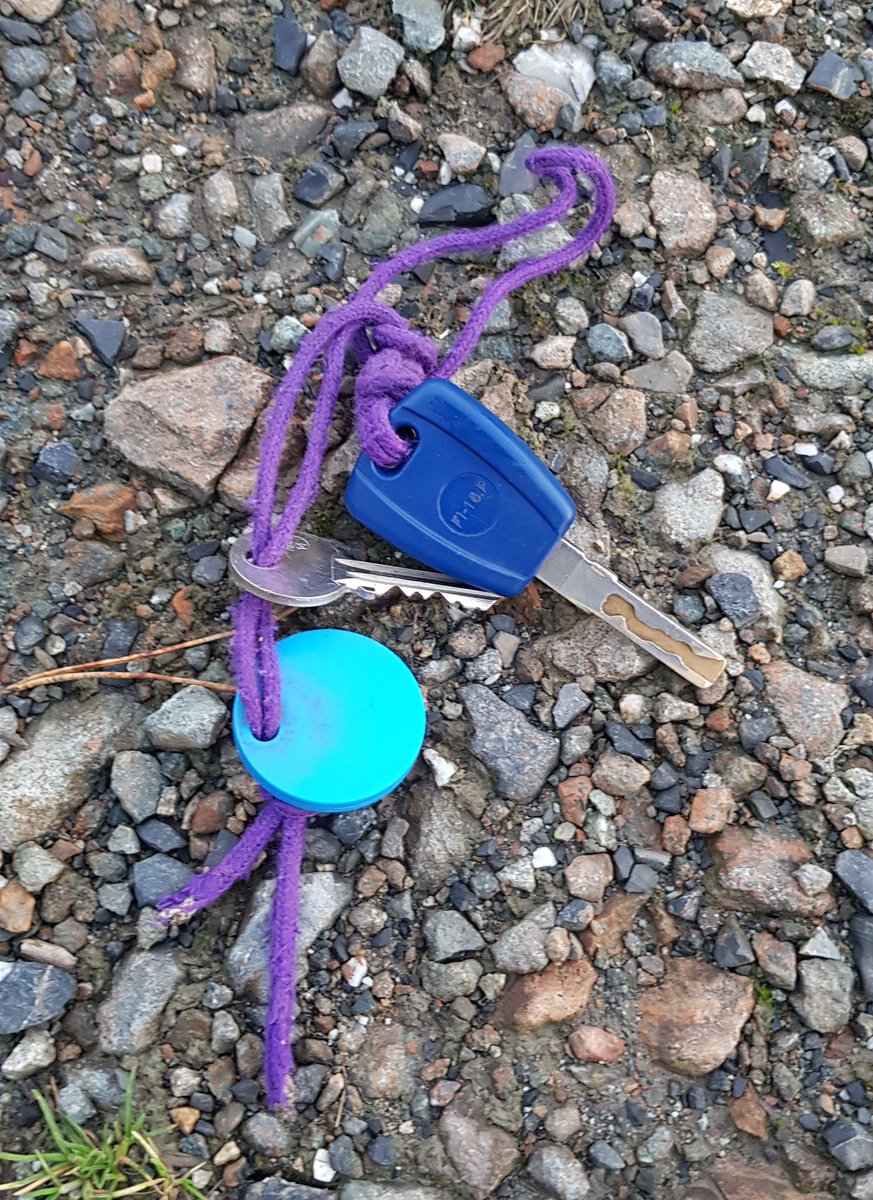 Ajmonopoly's tweet photo. Done my good deed whilst riding.
Saw some keys on the track.
Jumped off. Picked them up.
THEN thought how do I get back on the +17hh Woody with no gate in sight 🤦♀️
#TeamEquus #HorseChatHour https://t.co/wXHx0nApOi