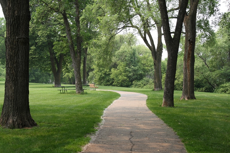 cityofwinnipeg's tweet photo. We’re developing the #Winnipeg Urban Forest Strategy and want to hear from you to help shape the next 20 years of tree protection and growth. For more details and to get involved, see: https://t.co/Fpv8jKt51M. #wpgengage https://t.co/5kFHQqzFGo