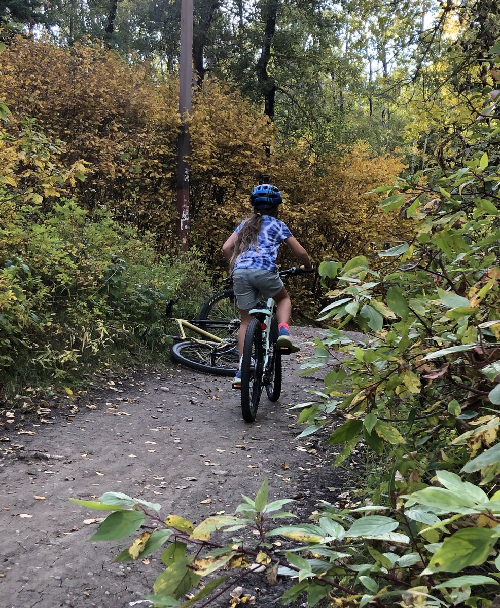 ActiveAlberta's tweet image. For over 30 years the @Centre4AL has advanced the physical activity and wellbeing of Albertans. More than ever this organization is integral to a healthy and resilient Alberta. @AlbertaCulture @LeelaAheer @APCCP @CMOH_Alberta #abcares