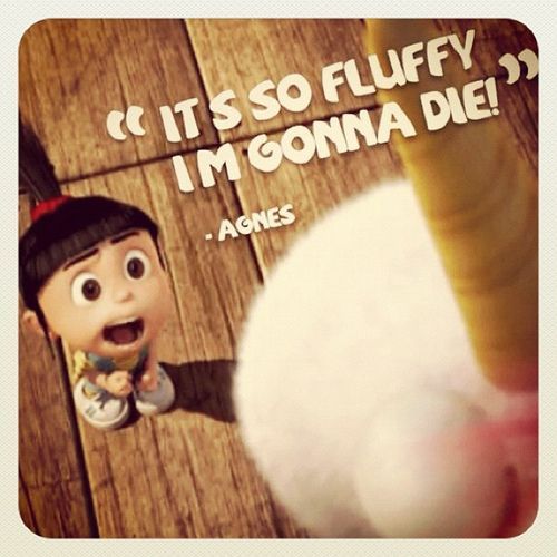 mistarnia's tweet photo. Hace ya 10 años que #DespicableMe se estrenó en España https://t.co/fKQBj1eYmg
