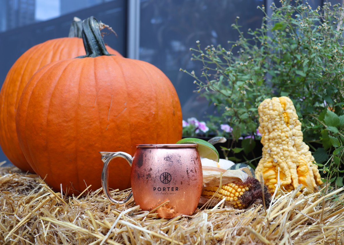 Oh my gourd! 🎃 Have you made it over to our pumpkin patch yet? If not, be sure to come check it out for Happy Hour today from 3pm - 6pm! 🍻
▫︎ $7 Svedka Mules⁣⁣⁣⁣
▫︎ $8 Margaritas
▫︎ $9 Old Fashioneds⁣⁣⁣⁣
▫︎ $9 Select Glasses of Wine