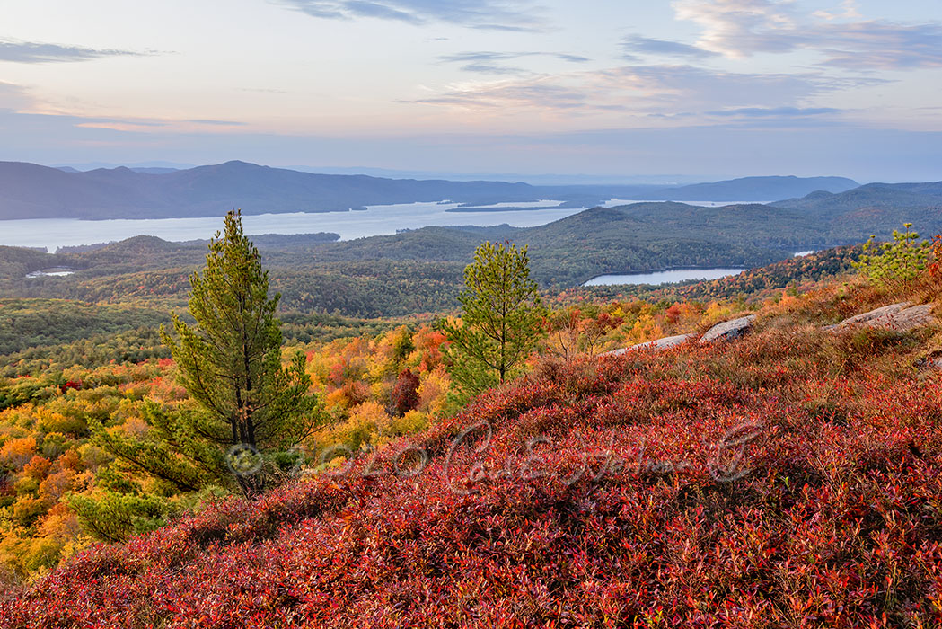 NaturePhotoTips's tweet photo. Fall colors were glowing in the first warm light of the day in this view over Trout Lake and Lake George from the summit of Cat Mtn. Yesterday morning 10/7 before the cold front blew through. https://t.co/3rE6qMed0q