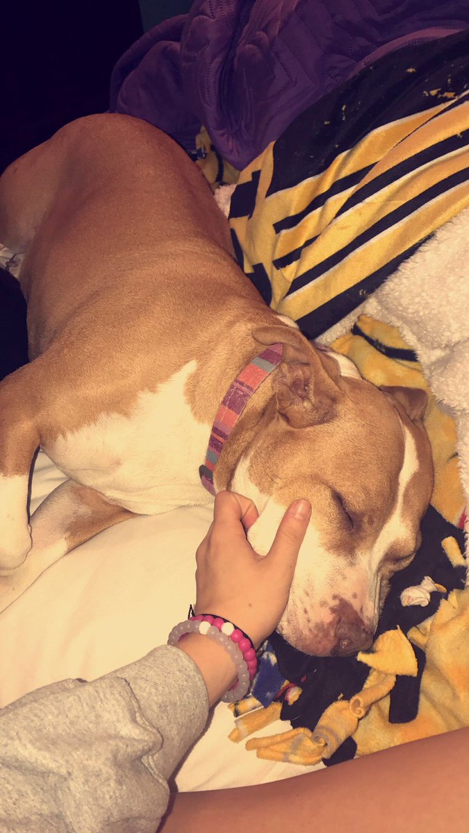 maddiew1458's tweet photo. Happy two years in heaven to my princess. I hope there’s extra McDonald’s cheeseburgers for you today. Miss and love her more than ever ❤️ https://t.co/4kAPPPDEHP