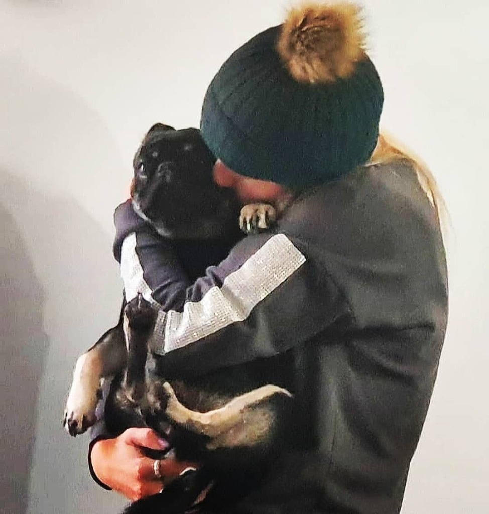 CaitKingTV's tweet photo. Give me CUDDLES 🤗
Honestly don't know what I would do without my little chicken nugget. For the first time Autumn & Winter will be actually bearable because I have a permanently toasty hot water bottle 🥰
#pug #pugs #pugpuppy #puglife #pugsofinstagr… https://t.co/2C7FwqH5cn https://t.co/nl9bzitfBz